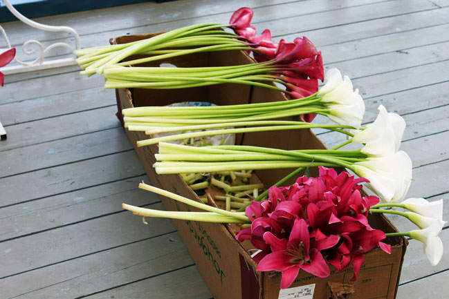 небольшой букет