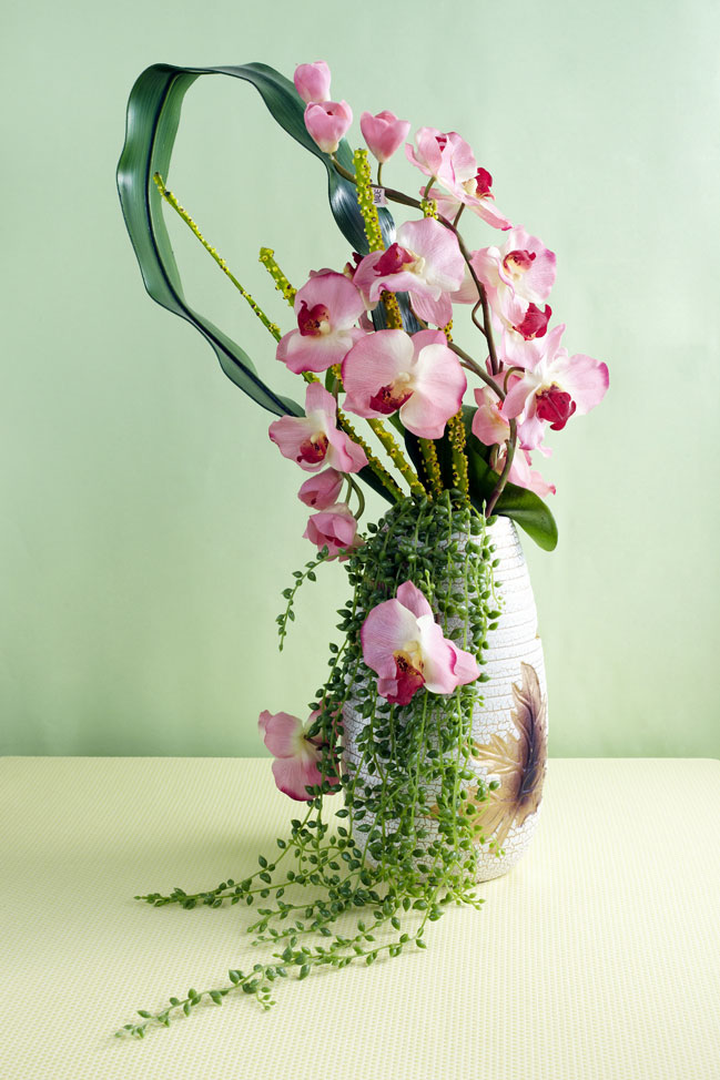 http://www.floridence.ru/assets/images/Articles/orchids_bukets/orchid_bouquet.jpg